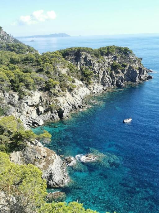 Bel Appartement 6 Personnes - Proche Toutes Commodites Toulon Bagian luar foto