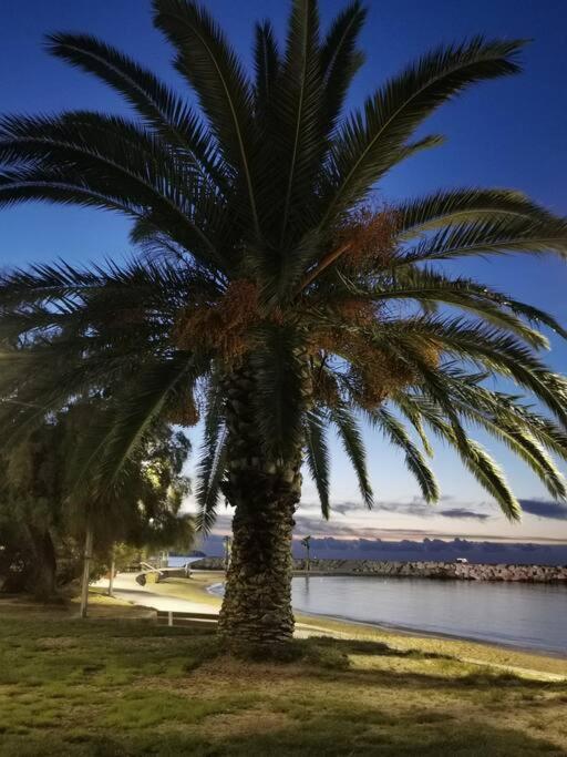 Bel Appartement 6 Personnes - Proche Toutes Commodites Toulon Bagian luar foto